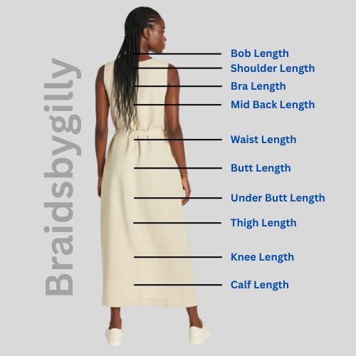 braidsbygilly infographic
